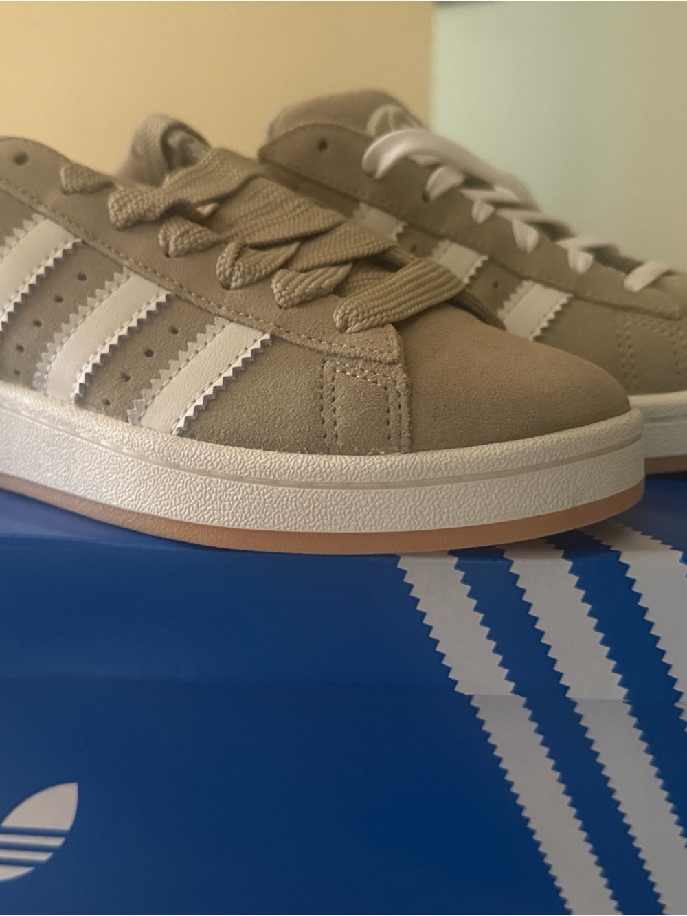 NWT Adidas Campus shoes